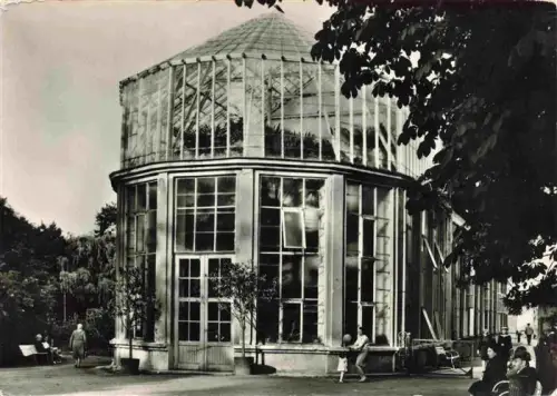 AK / Ansichtskarte Oliwa Oliva Gdansk PL Palmiarnia Park-Adama-Mickiewicza Gewaechshaus Wintergarten Spaziergaenger Baeume