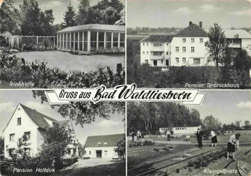 AK / Ansichtskarte Waldliesborn Bad Trinkhalle Pension-Tenbrockhaus Pension-Holtdirk Kleingolfplatz Kuranlage Kurort