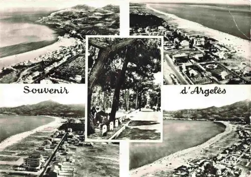 AK / Ansichtskarte ARGELES-SUR-MER 66 Pyrenees-Orientales Strand Kueste Meer Bucht Strand-Promenade Feigenbaeume Pyrenaeen
