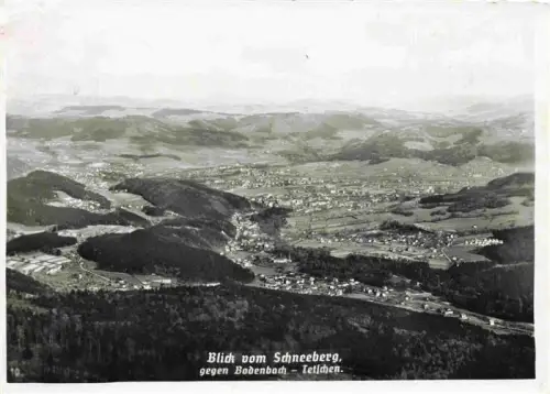 AK / Ansichtskarte Tetschen-Bodenbach Boehmen DECIN CZ Bodenbach Tetschen Elbe Wald Berge Schneeberg Panorama