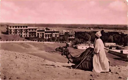 AK / Ansichtskarte Giza Gizeh Egypt Mena-House-Hotel Hotel Kamel Beduine Wueste Sand Duene Palmen
