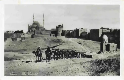 AK / Ansichtskarte CAIRO  Kairo Caire Egypt Citadelle Mohammed-Ali-Moschee Kamelkarawane Stadtmauer Minarette Festung Kamel