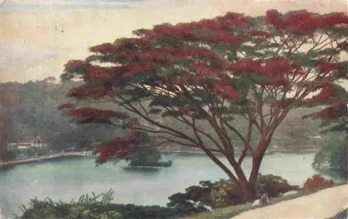 AK / Ansichtskarte Kandy Lake Ceylon Sri Lanka Temple-of-the-Holy-Tooth Zahnreliquientempel Kandy-Lake See Flamboyant-Baum Pavillon Ceylon koloriert