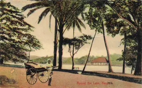 AK / Ansichtskarte Kandy Lake Ceylon Sri Lanka Kandy-Lake See Rikscha Palmen Baeume Gebaeude koloriert