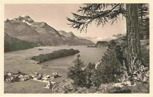 AK / Ansichtskarte Sils Baselgia Engadin Maloja GR Silser-See Piz-della-Margna Halbinsel-Chaste Ober-Engadin Berge Dorf Laerchen