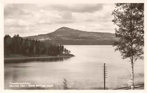 AK / Ansichtskarte Tossebergsklaetten Wermland Sunne Varmlands Lan Sweden Tossebergsklaetten Gurlitta-klaett Goesta-Berlings-saga Fryken See Berg Birke