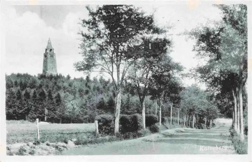 AK / Ansichtskarte Knivsberg Apenrade DK Knivsberg Turm Wald Allee Weg Bismarckturm