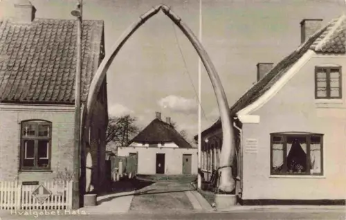 AK / Ansichtskarte Hals DK Hvalgabet Walknochen Bogen Tor Haeuser Strasse
