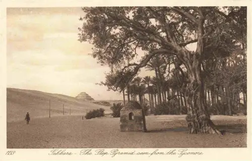 AK / Ansichtskarte Sakkara Saqqarah Egypt Stufenpyramide Djoser Step-Pyramid Sycamore Sykomore Wueste Palmen