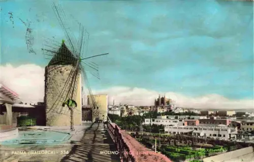 AK / Ansichtskarte Palma de Mallorca ES Windmuehle Molino-Jack-el-Negro Kathedrale Stadtansicht Panorama