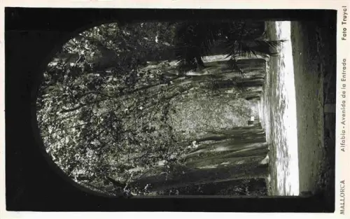 AK / Ansichtskarte MALLORCA Isla Baleares ES Alfabia Avenida-de-la-Entrada Baumallee Platanen Palmen Garten Bogentor