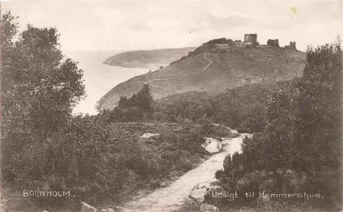 AK / Ansichtskarte Bornholm DK Hammershus Burgruine Klippe Kuestenpfad Meer Busch Aussicht