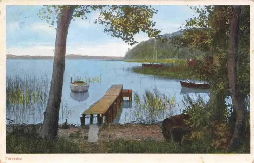 AK / Ansichtskarte Fureson DK Furesoen See Bootssteg Ruderboote Schilf Baeume Segelboot