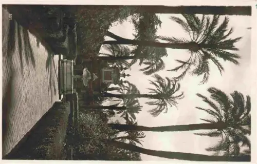 AK / Ansichtskarte SEVILLA Andalucia ES Alcazar Garten Brunnen Palmen Gartenweg Hecken S/W