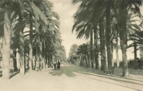 AK / Ansichtskarte ALICANTE Valenciana ES Explanada-de-España Palmenallee Promenade Passanten Palmen