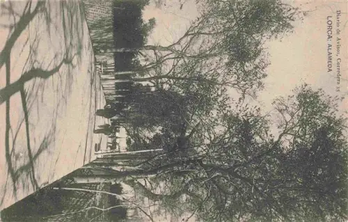 AK / Ansichtskarte Lorca MURCIA ES Alameda Promenade Baeume Passanten Alleen Corredera