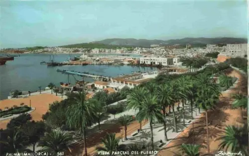 AK / Ansichtskarte Palma de Mallorca ES Puerto Hafen Palmen Promenade Stadtpanorama Schiffe Kueste
