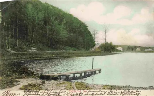 AK / Ansichtskarte Sollerod DK Søllerød-Sø See Steg Wald Huegel Handkoloriert