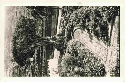 AK / Ansichtskarte Icod de los Vinos Tenerife Islas Canarias ES Drago-milenario Drachenbaum Garten Terrassen Palme Panorama Vulkanlandschaft