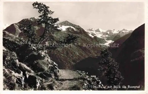 AK / Ansichtskarte Rosegtal GR Rosegtal Hoehenweg Gletscher Berge Laerchen Felsweg Bergpanorama
