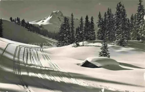 AK / Ansichtskarte Adelboden Frutigen BE Geilskumml Luegligrat Skigebiet Skispuren Schnee Fichten Winterlandschaft Berggipfel