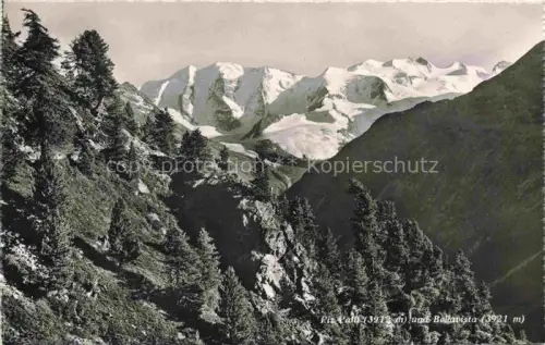 AK / Ansichtskarte Piz Palue 3905m GR Piz-Palue Bellavista Gletscher Bernina Laerchen Berge Schnee Gletscherzungen