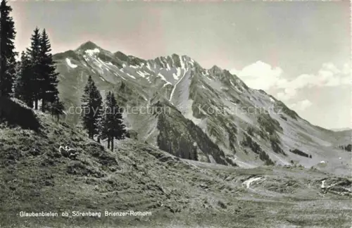 AK / Ansichtskarte Glaubenbielen Soerenberg LU Brienzer-Rothorn Berge Alm Tannen Weide Hochgebirge