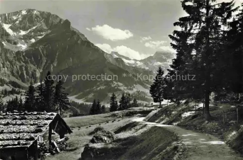 AK / Ansichtskarte Adelboden Frutigen BE Buetschegge Grosslohner Steghorn Wildstrubel Bergweg Tannen Almhuette