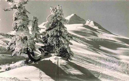 AK / Ansichtskarte DAVOS GR Parsenn Weissfluhjoch Kueblis Gaudergrat Arven Skipisten Schnee Winterlandschaft