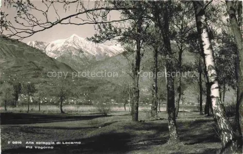 AK / Ansichtskarte LOCARNO Lago Maggiore TI Spiaggia-di-Locarno Piz-Vogorno Baeume Birken Berge Lago-Maggiore