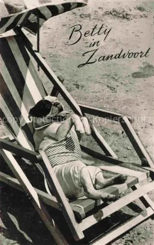 AK / Ansichtskarte ZANDVOORT-AAN-ZEE Noord Holland NL Mops Hund Liegestuhl Strand Badekostuem Sonnenbrille Humor