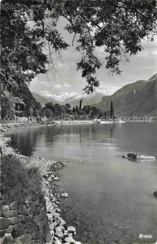 AK / Ansichtskarte Brienz Brienzersee BE Brienzersee Hasliberge See Berge Kirche Baeume Ufer Schneeberge
