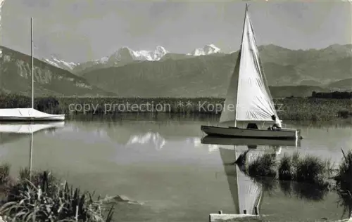AK / Ansichtskarte Thunersee THUN BE Segelschiff Thunersee Eiger Moench Jungfrau Segeln See Alpen Schilf