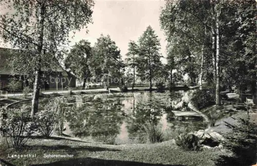 AK / Ansichtskarte LANGENTHAL Aarwangen BE Schorenweiher Weiher Park Baeume Birken Teich