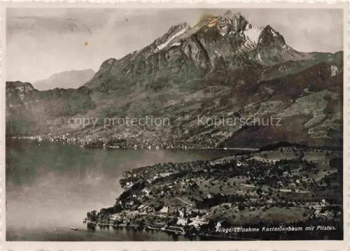 AK / Ansichtskarte Kastanienbaum Luzern LU Pilatus Vierwaldstaettersee Luftbild Halbinsel Schloss Wald Berge See
