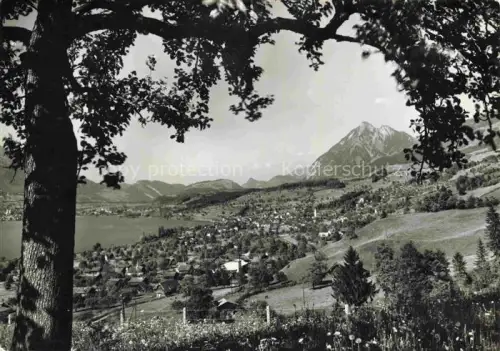 AK / Ansichtskarte Sachseln OW Sarnersee Stanserhorn Sachseln Dorfansicht See Berge Baumrahmen