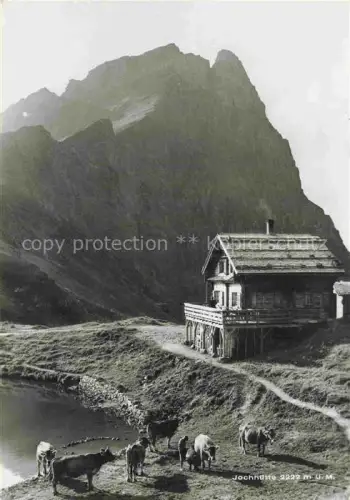 AK / Ansichtskarte Jochhuette 2222m Graustock NW Jochhuette Graustock Nidwaldner-Berg-Club Kuehe Alp Bergsteigen Hochgebirge