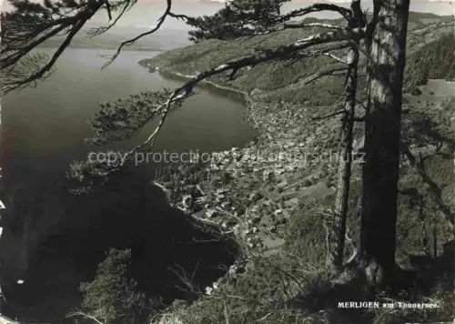 AK / Ansichtskarte Merligen Thunersee BE Thunersee Dorf Luftbild Wald Ufer Berge