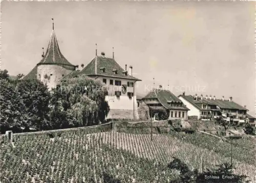 AK / Ansichtskarte Erlach Bielersee BE Schloss-Erlach Weinberg Burg Turm Wohnhaeuser