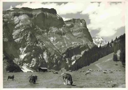 AK / Ansichtskarte Bargis Flims GR Bargis-Hochtal Flimserstein Kuehe Alpenwiese Felswand Wald Gebirge Almweide