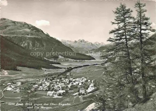 AK / Ansichtskarte Zuoz Maloja GR Ober-Engadin Piz-Margna Bergdorf Bergpanorama Talblick Wald Laerche Gebirge