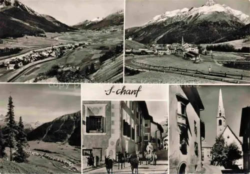 AK / Ansichtskarte S-chanf GR Panorama Kirchturm Bergdorf Schafe Gassen Engadin Berge Wald