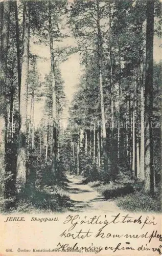 AK / Ansichtskarte Jerle oerebro Sweden Skogsparti Wald Kiefern Waldweg Natur