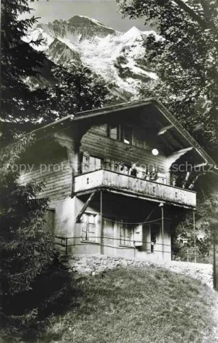 AK / Ansichtskarte Wengen  BE Jugendherberge-Zwirgi Chalet Balkon Bergpanorama Schneeberge Wald Wiese Personen