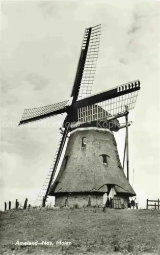 AK / Ansichtskarte Nes Ameland Friesland NL Molen Windmuehle Wiese Zaun Ameland