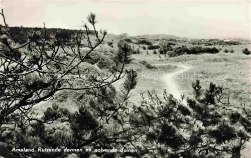 AK / Ansichtskarte Ameland Friesland NL Duinen Kiefern Sandweg Naturlandschaft Waddeninsel Heidekraut Duenenweg