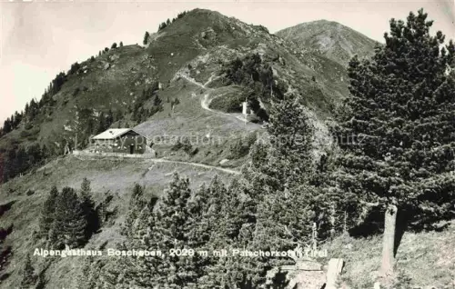 AK / Ansichtskarte Boscheben Ellboegen Innsbruck AT Boscheben Patscherkofel Alpengasthaus Berghuette Bergpfad Berggipfel Zirbelkiefer