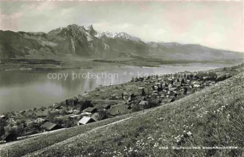 AK / Ansichtskarte Sigriswil BE Stockhornkette Thunersee See Bergdorf Wiesen Fruehling Panorama