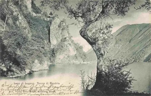 AK / Ansichtskarte Gandria Lago di Lugano TI Lago-di-Lugano Rocco-di-Gandria Felsen See oelbaum Berge