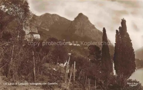 AK / Ansichtskarte Albogasio Lago di Lugano IT Lago-di-Lugano Castello Weinberge Zypressen Berge See Valsolda